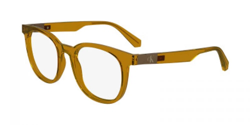 CALVIN KLEIN JEANS CKJ24613 Eyeglasses - view 2
